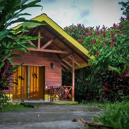 Selvita Lodge Arenal ラ・フォルトゥナ エクステリア 写真