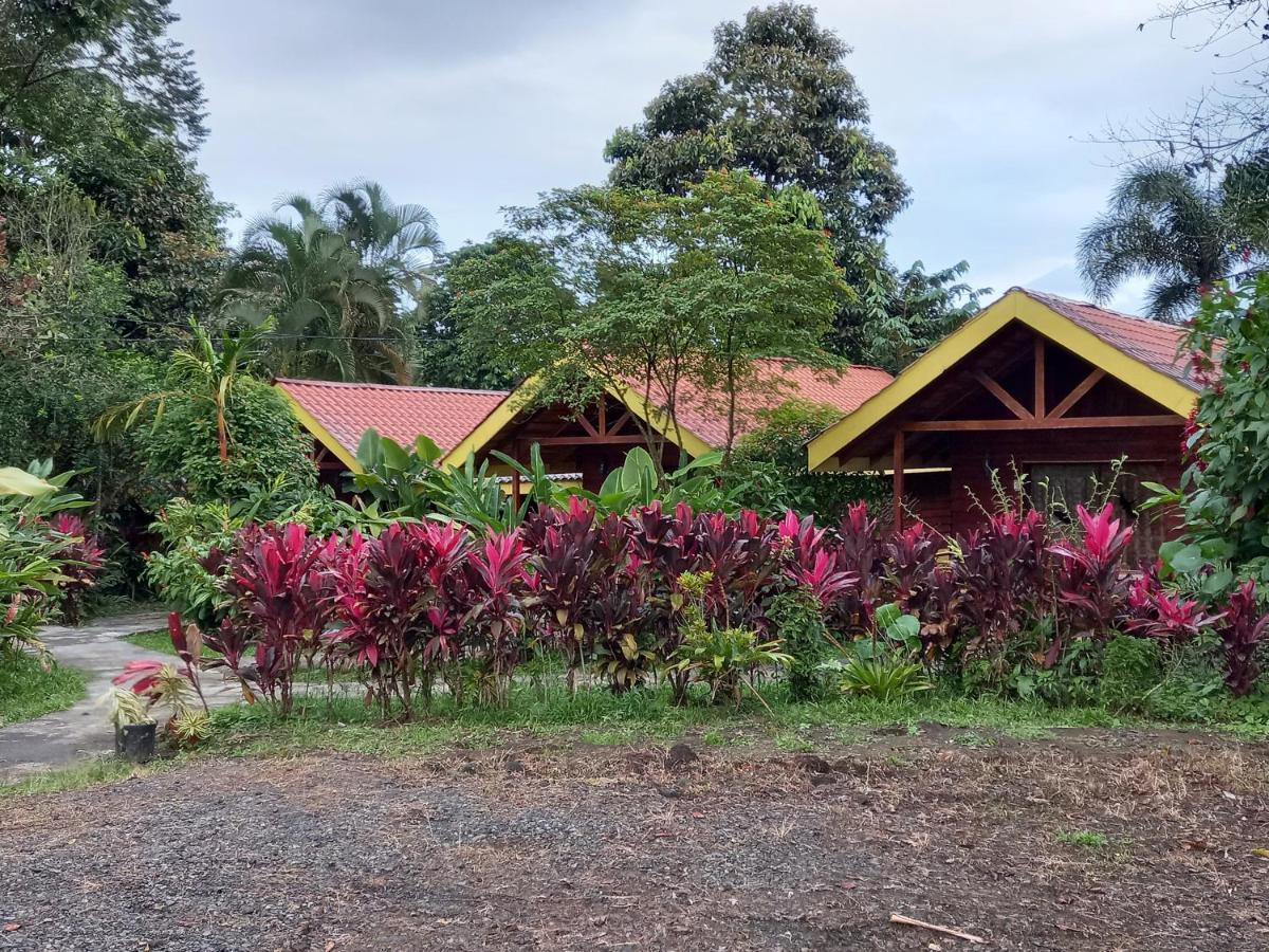 Selvita Lodge Arenal ラ・フォルトゥナ エクステリア 写真