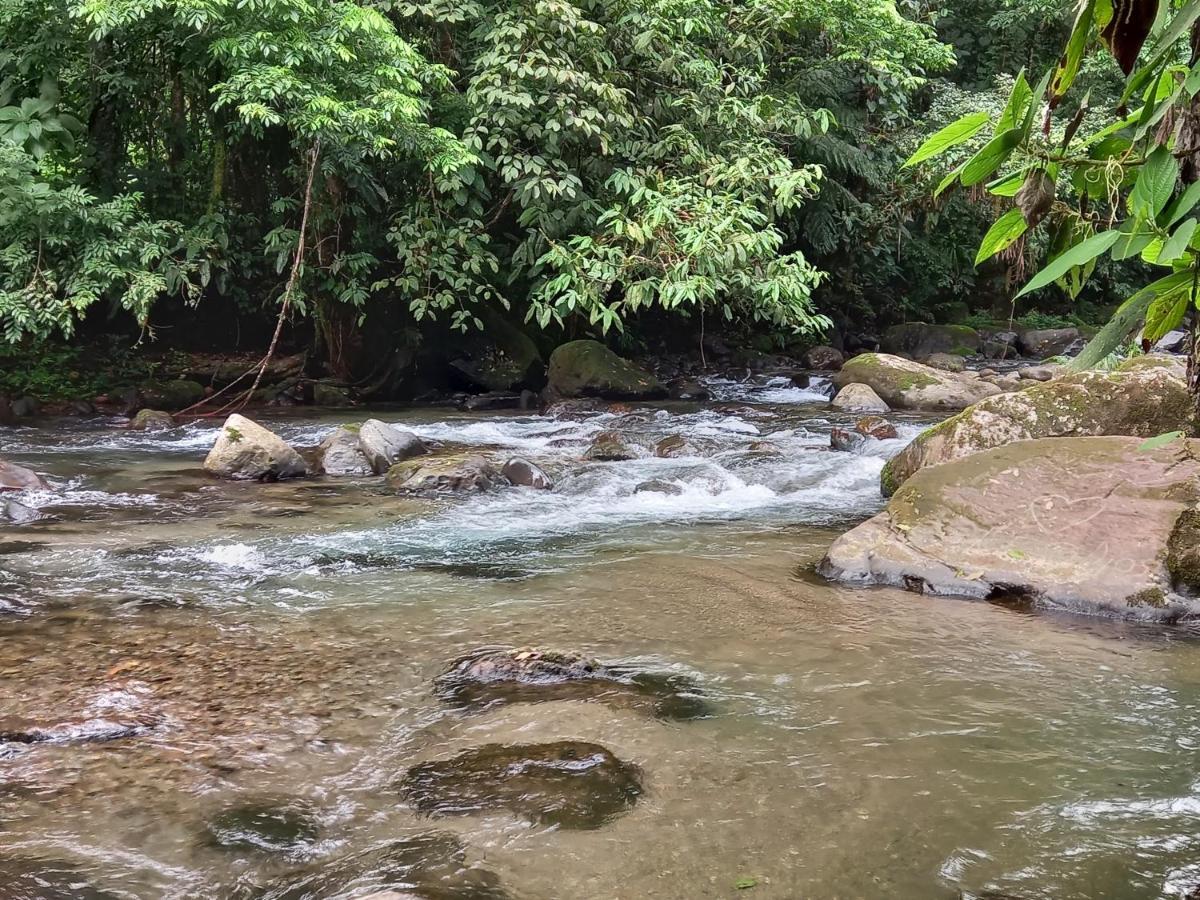 Selvita Lodge Arenal ラ・フォルトゥナ エクステリア 写真
