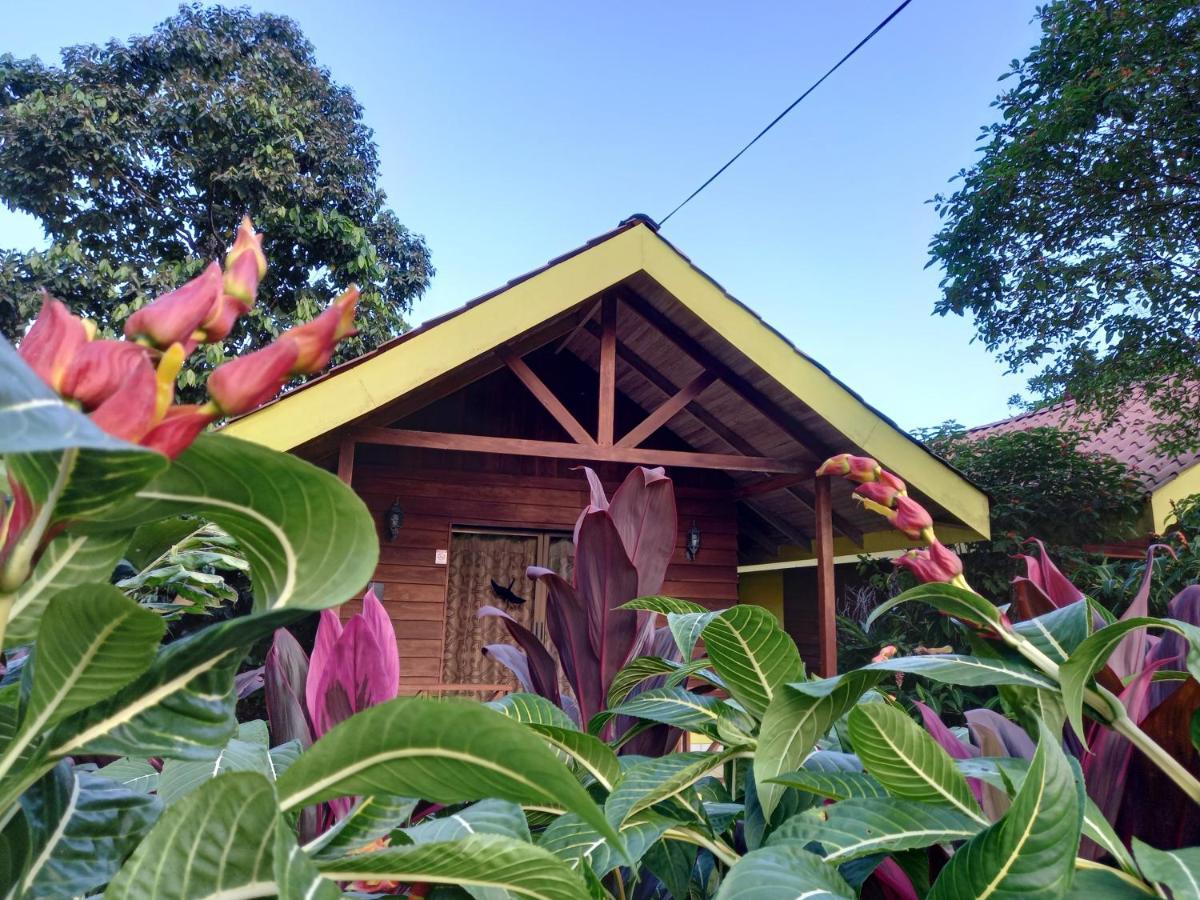 Selvita Lodge Arenal ラ・フォルトゥナ エクステリア 写真