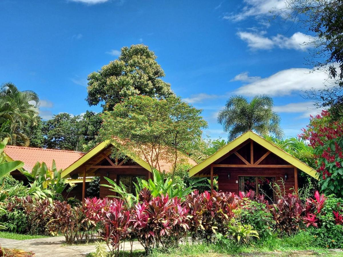 Selvita Lodge Arenal ラ・フォルトゥナ エクステリア 写真