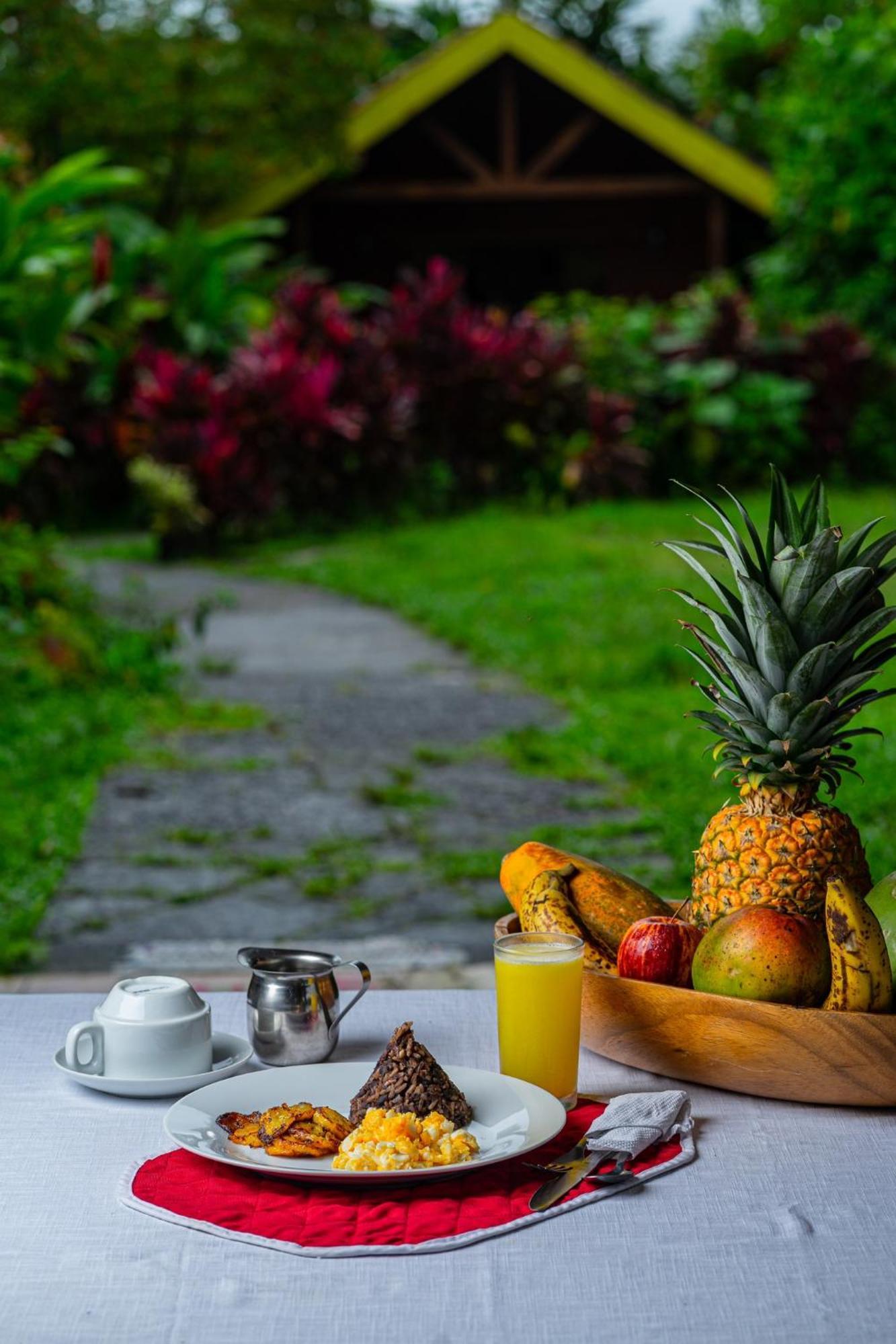 Selvita Lodge Arenal ラ・フォルトゥナ エクステリア 写真