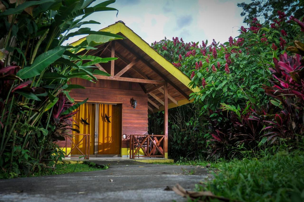 Selvita Lodge Arenal ラ・フォルトゥナ エクステリア 写真